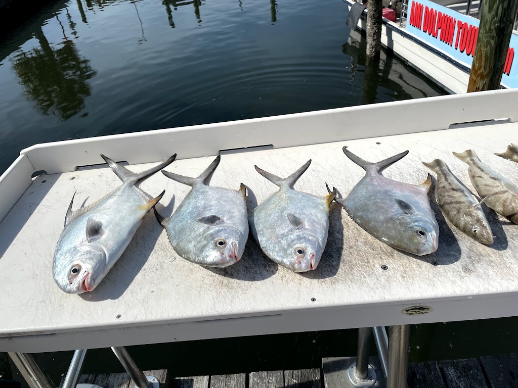 Fish AMI Fishing Charters | 200 Bridge St, Bradenton Beach, FL 34217 | Phone: (941) 264-5081