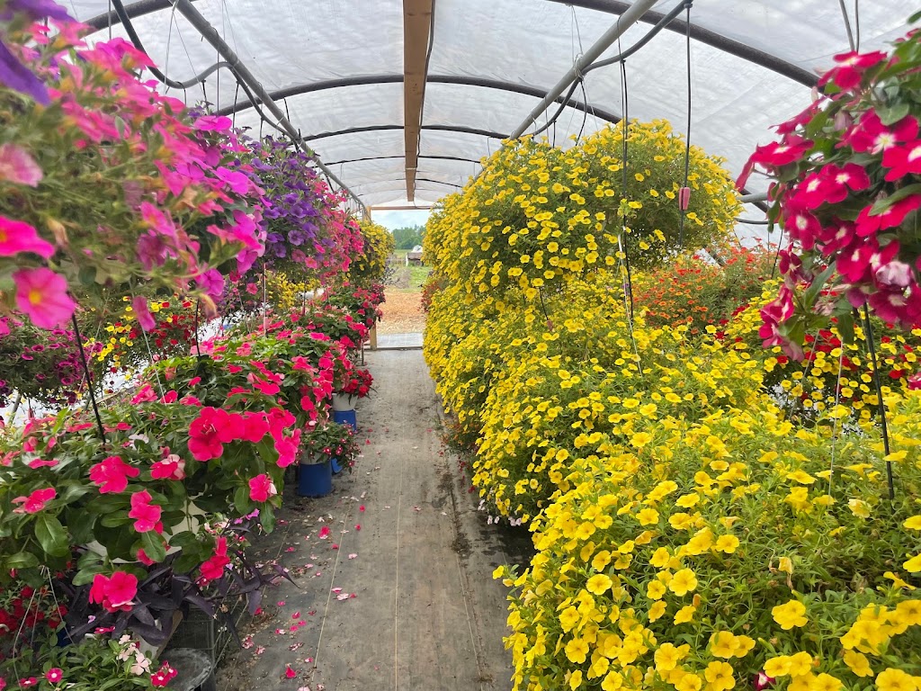 Fonsecas Farm and Greenhouses | 3980 Greens Bottom Rd, St Charles, MO 63304 | Phone: (314) 744-0072