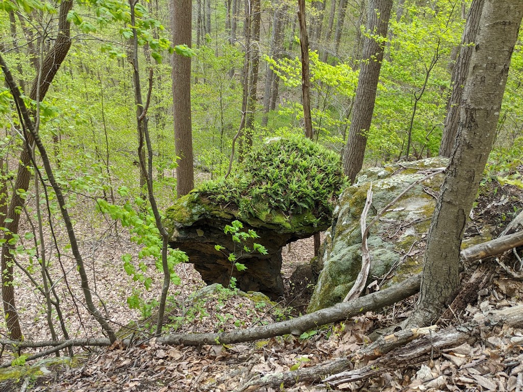 Wahkeena Nature Preserve | 2200 Pump Station Rd SE, Sugar Grove, OH 43155, USA | Phone: (800) 297-1883