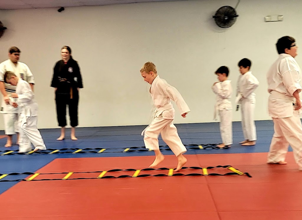 Ray Efflers Livingston Karate | 29437 S Frost Rd, Livingston, LA 70754, USA | Phone: (225) 435-3022