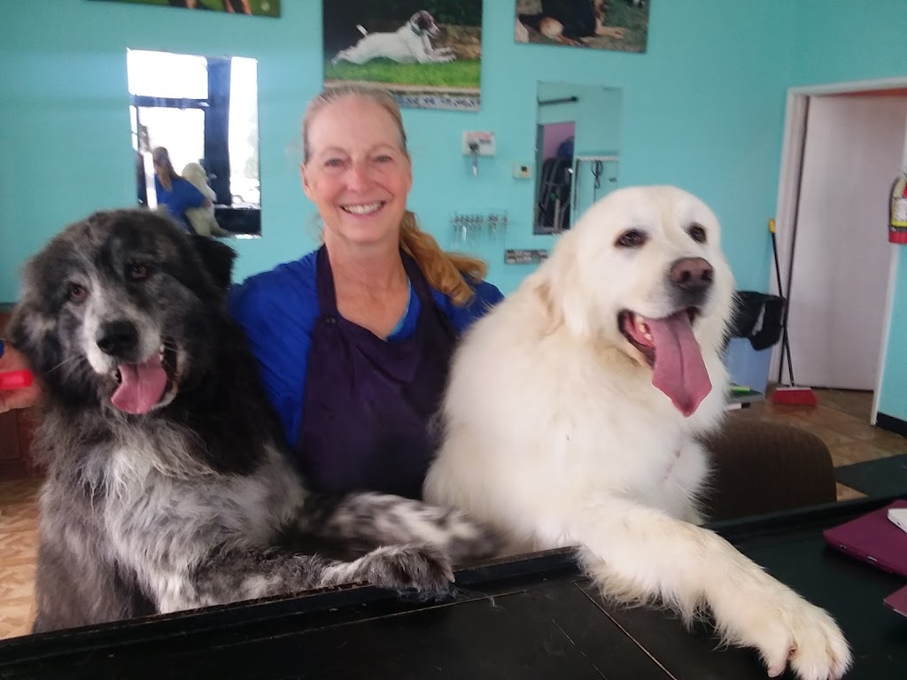 Unleashed Dog Grooming | 10300 Beaumont Ave, Cherry Valley, CA 92223, USA | Phone: (951) 845-3974