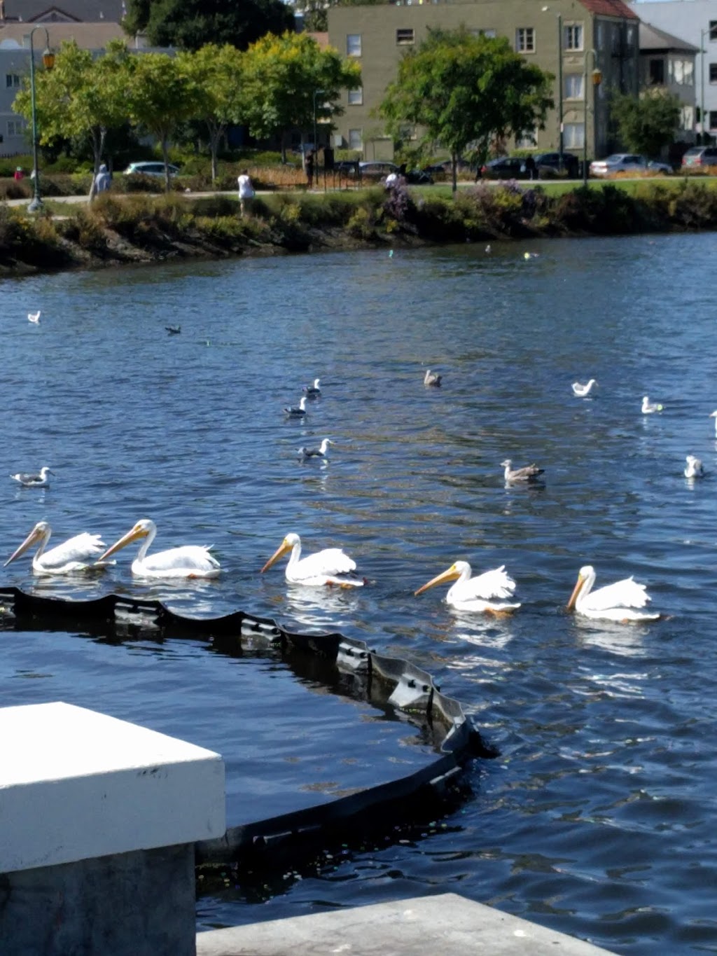 Lake Merritt Wash House | 1225 2nd Ave, Oakland, CA 94606, USA | Phone: (510) 962-5071