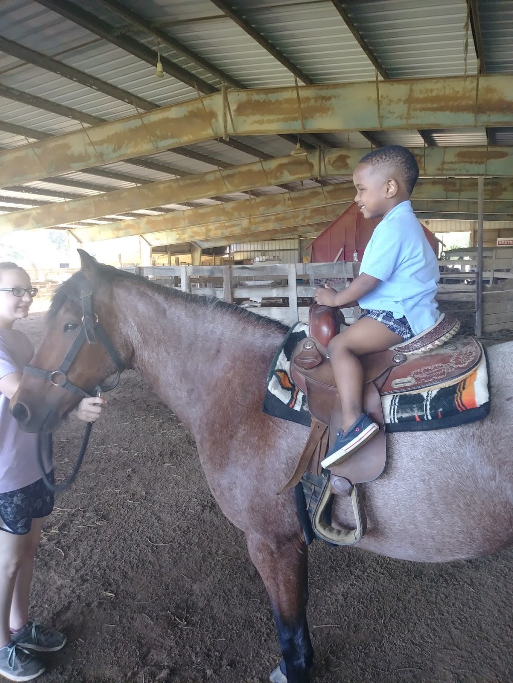 Kidz Kountry Petting Farm | 5960 Tchulahoma Rd, Southaven, MS 38671, USA | Phone: (662) 349-2909