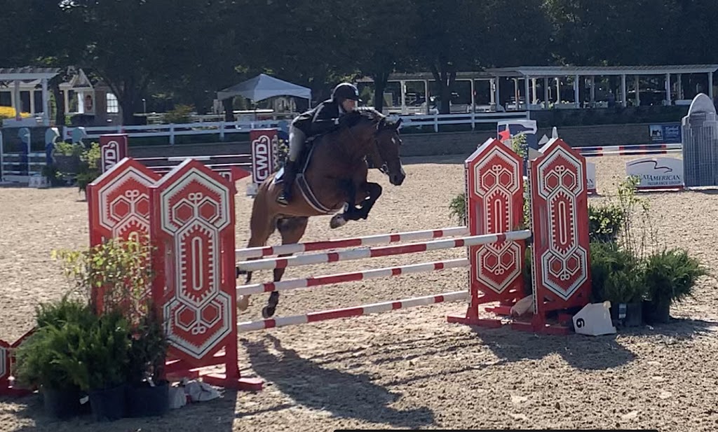 BakerHill Stables | 13750 W Bruns Rd, Manhattan, IL 60442, USA | Phone: (815) 277-9441