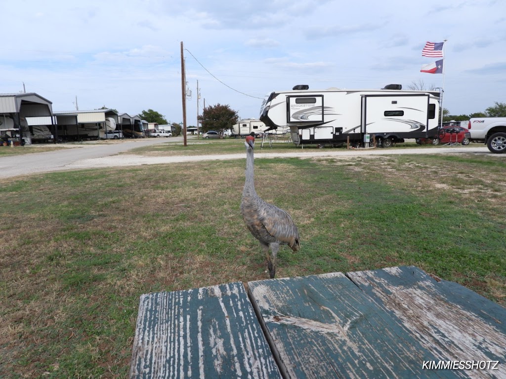 Whitney Resorts | 255 Sun Country Dr, Whitney, TX 76692, USA | Phone: (254) 694-4023