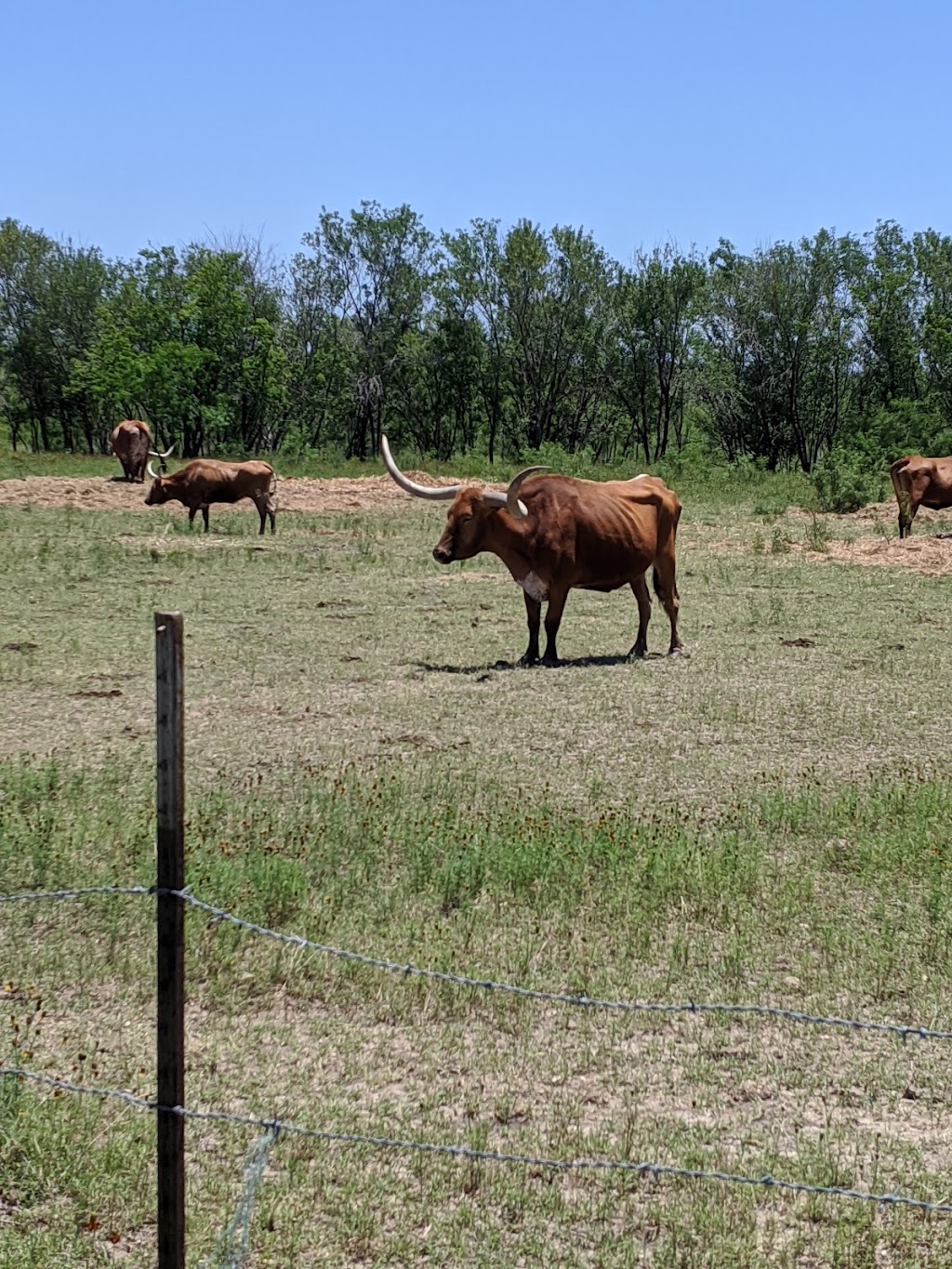 Fast Park & Relax AUS / ABIA | 2300 Spirit of Texas Dr, Del Valle, TX 78617, USA | Phone: (512) 385-8877