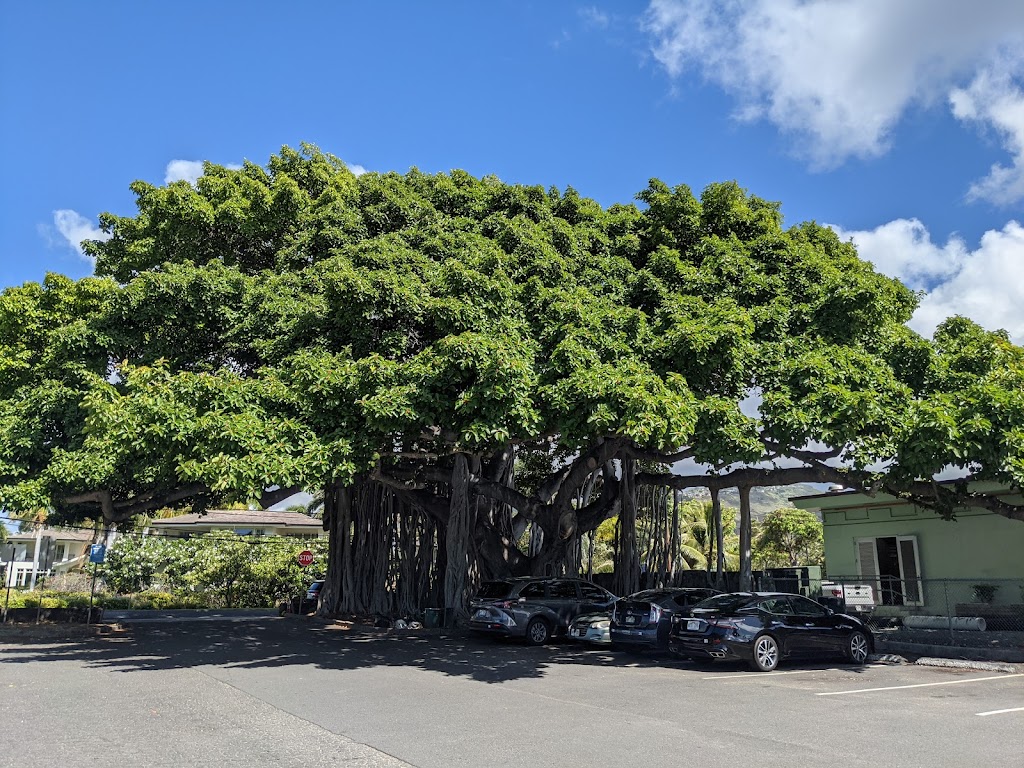 Waiʻalae Beach Park | 4925 Kahala Ave, Honolulu, HI 96816, USA | Phone: (808) 768-3003