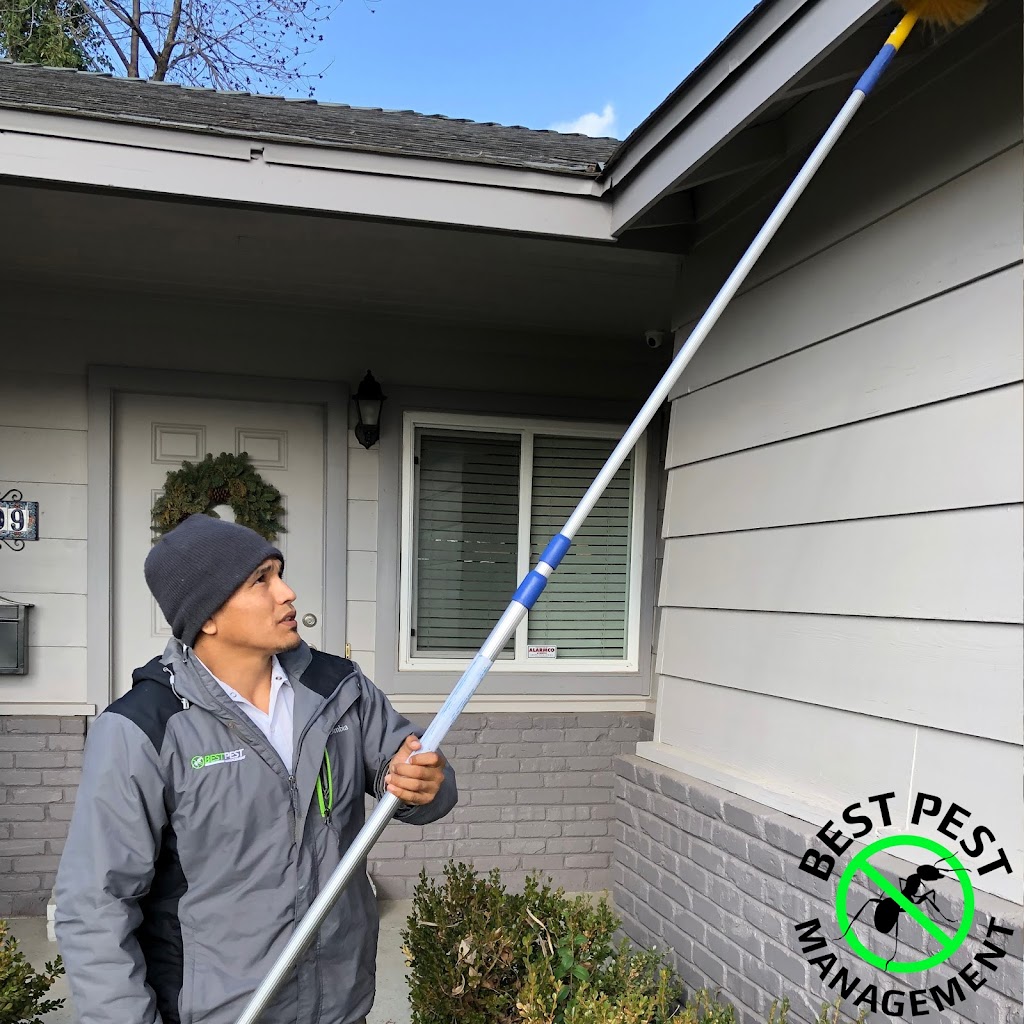 Best Pest Management | 1122 Stoddard Ave, Modesto, CA 95350, USA | Phone: (209) 370-2324