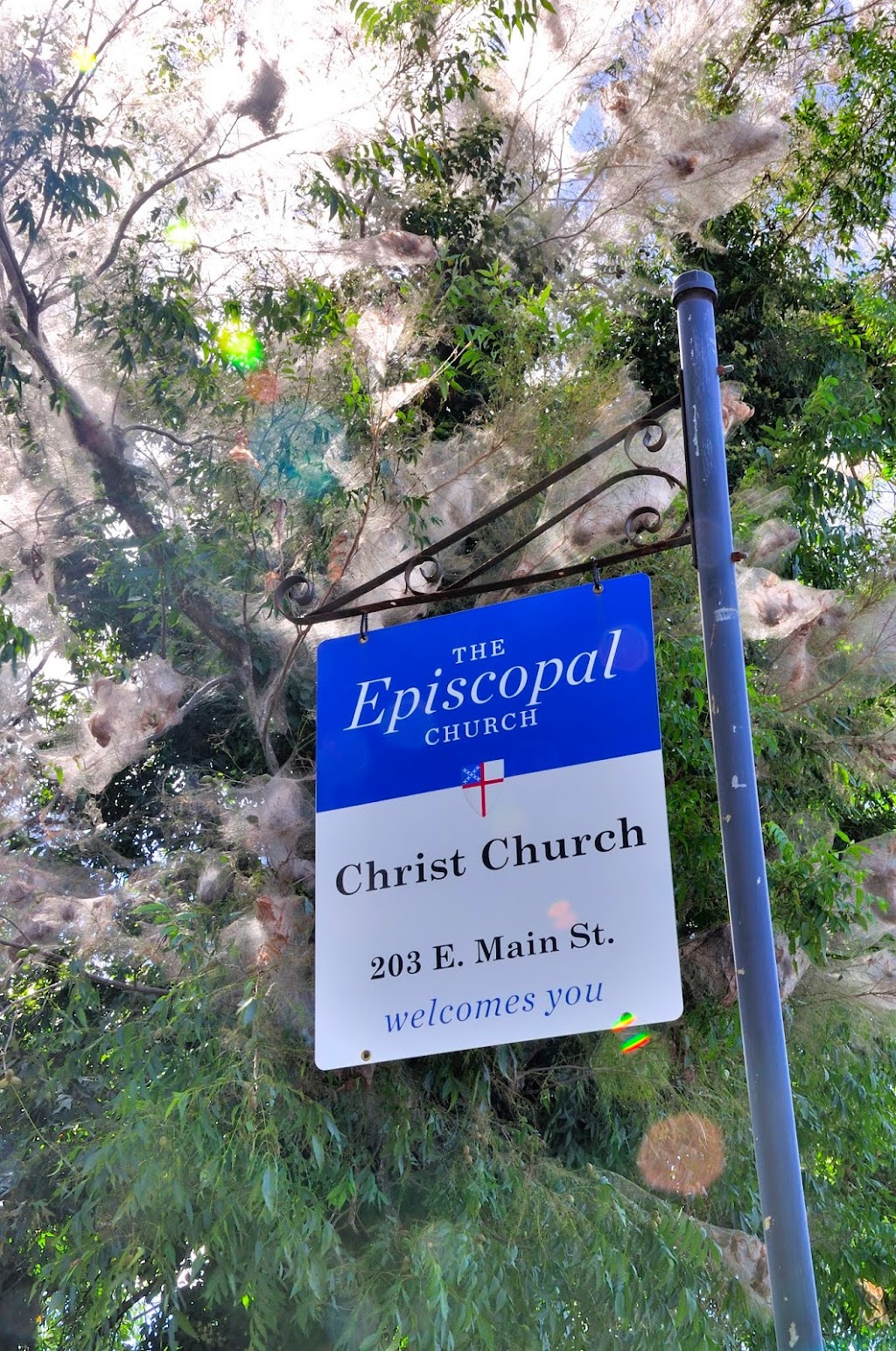 Christ Episcopal Church | 203 E Main St, Waverly, VA 23890, USA | Phone: (804) 834-2393