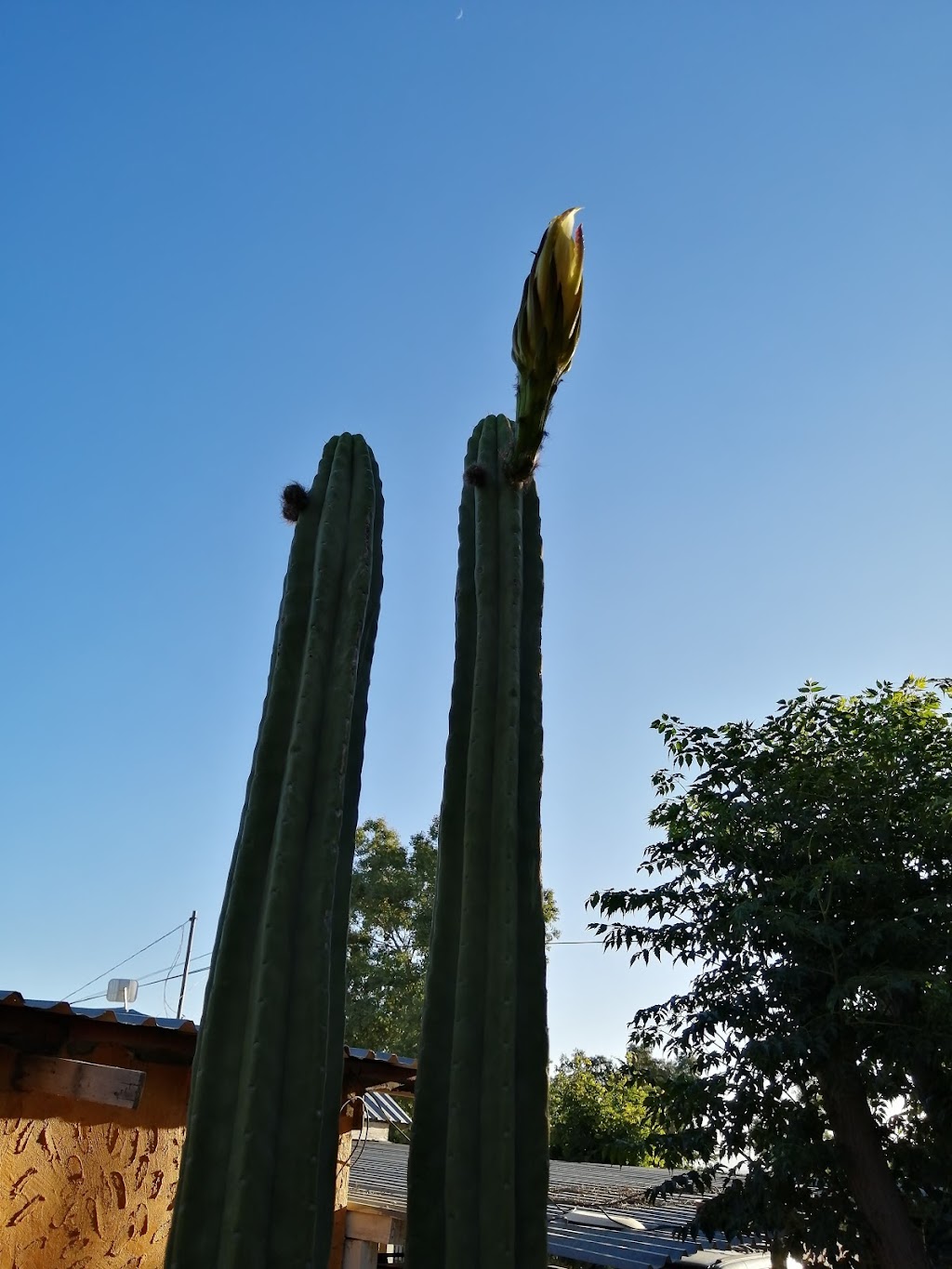 tecate santa anita | 21508 Mi Ranchito, B.C., Mexico | Phone: 81 8355 1905