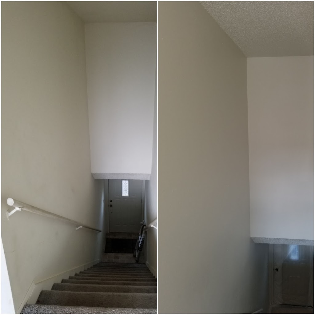 Pro Painters League, LLC (# PROPAPL809BG) | 14409 8th Ave SW #101, Burien, WA 98166, USA | Phone: (206) 251-9591