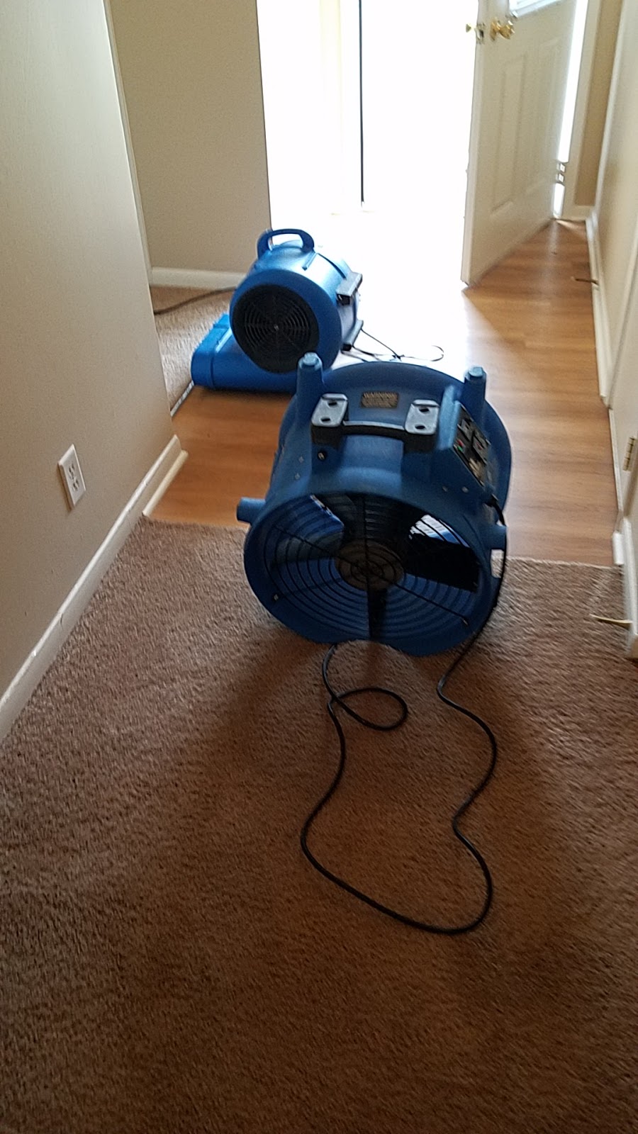 Inspection Ready Carpet Cleaning | 2819 Bryan Ave, Bellevue, NE 68005, USA | Phone: (402) 999-3020