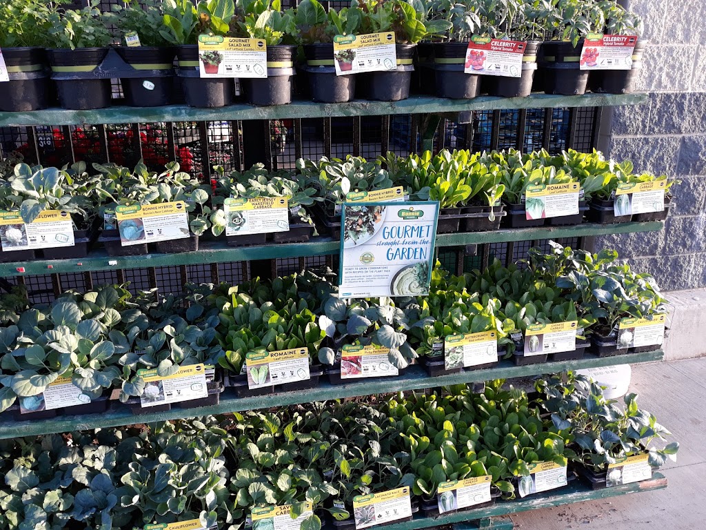 Walmart Garden Center | 9001 Apollo Way, Downey, CA 90242, USA | Phone: (562) 803-3507