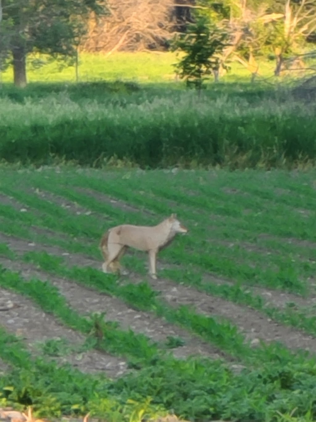 Lilly Lane Nature Preserve | 6300 W Lilly Ln, Mequon, WI 53092, USA | Phone: (262) 236-2945