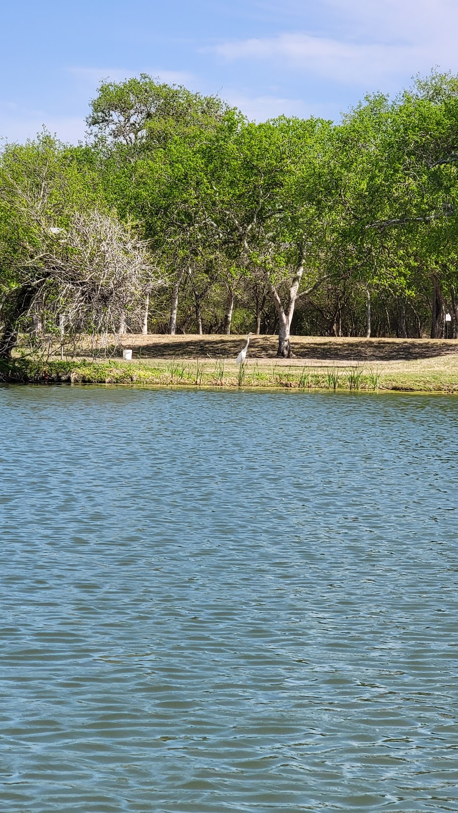 Wilderness Lakes RV Resort | 22552 Park Rd 25, Mathis, TX 78368, USA | Phone: (361) 547-9995