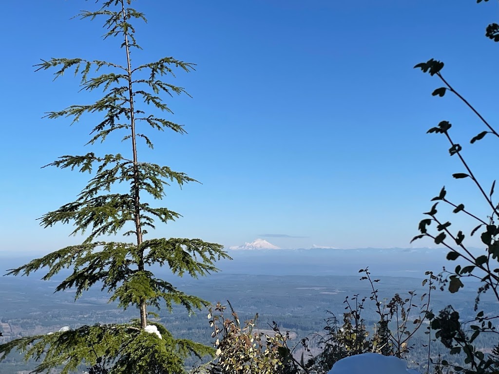 Mt. Walker Viewpoint | Mt Walker Lookout Rd, Brinnon, WA 98320, USA | Phone: (360) 956-2402