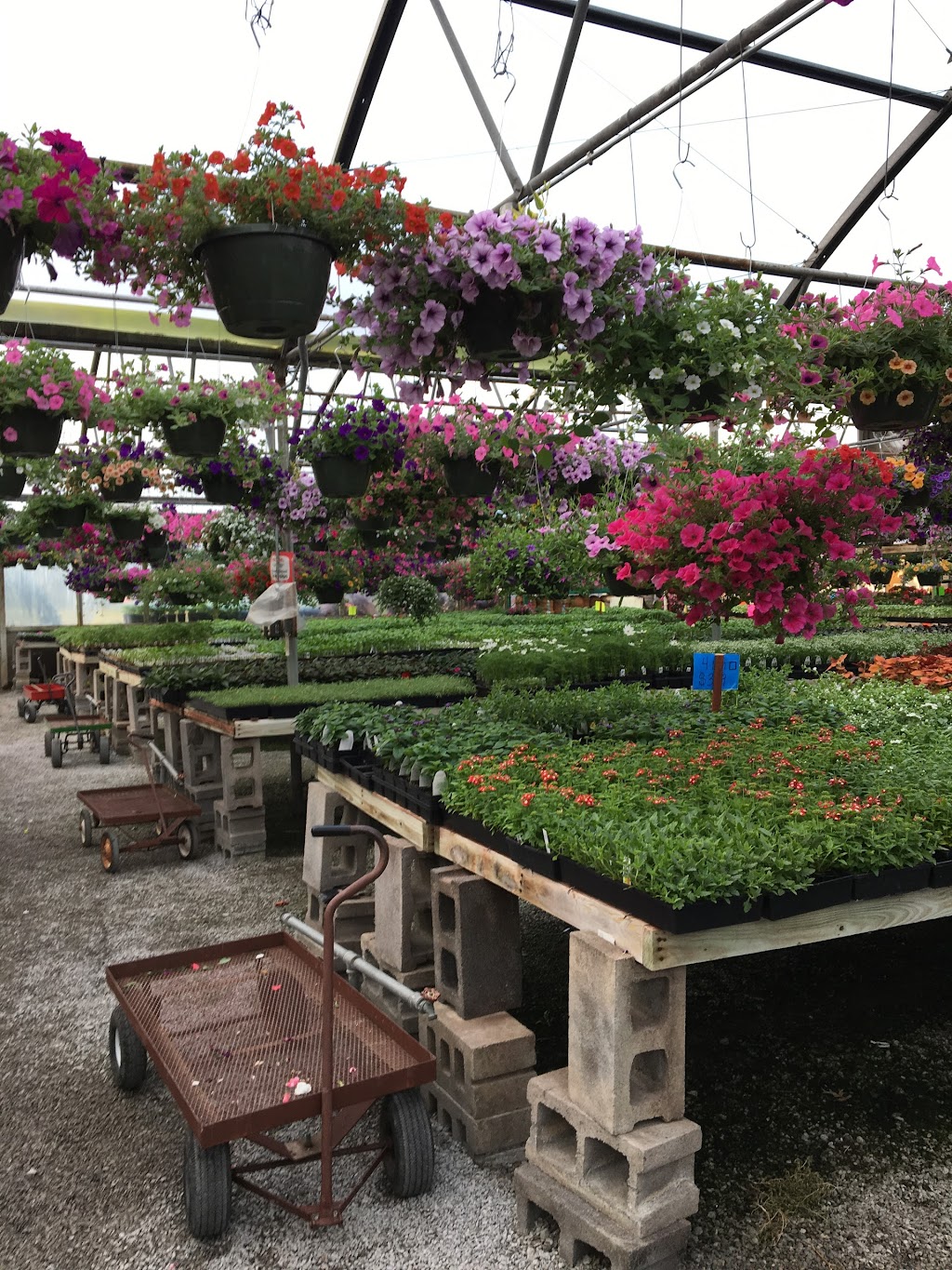 Grants Garden Center | 2115 OH-131, Batavia, OH 45103, USA | Phone: (513) 625-5100