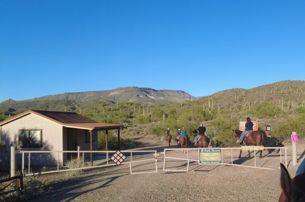 Arizona Horseback Adventures | 44029 N Spur Cross Rd, Cave Creek, AZ 85331 | Phone: (480) 488-9117