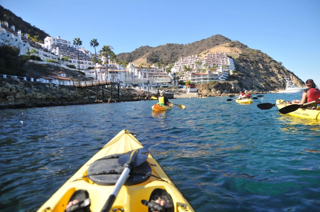 Catalina Glamping & Eco Tours | 1 Whites Landing Road, Avalon, CA 90704, USA | Phone: (310) 935-5725