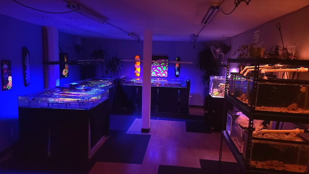 High Tide Aquatics | 2819 MacArthur Blvd, Oakland, CA 94602, USA | Phone: (341) 420-0200