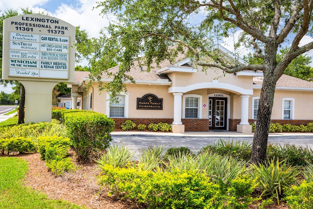 Danks Family Chiropractic | 11305 Countryway Blvd, Tampa, FL 33626, USA | Phone: (813) 891-0400