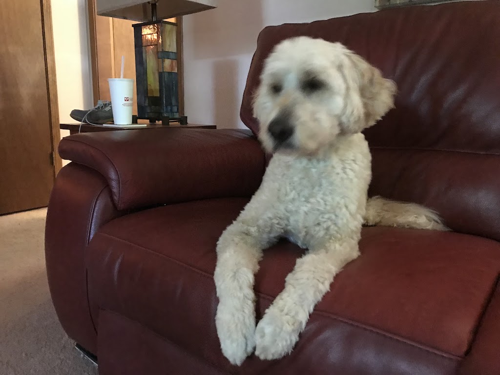 Union Hill Animal Hospital | 2853 Lower Union Hill Rd, Canton, GA 30115, USA | Phone: (770) 664-8380