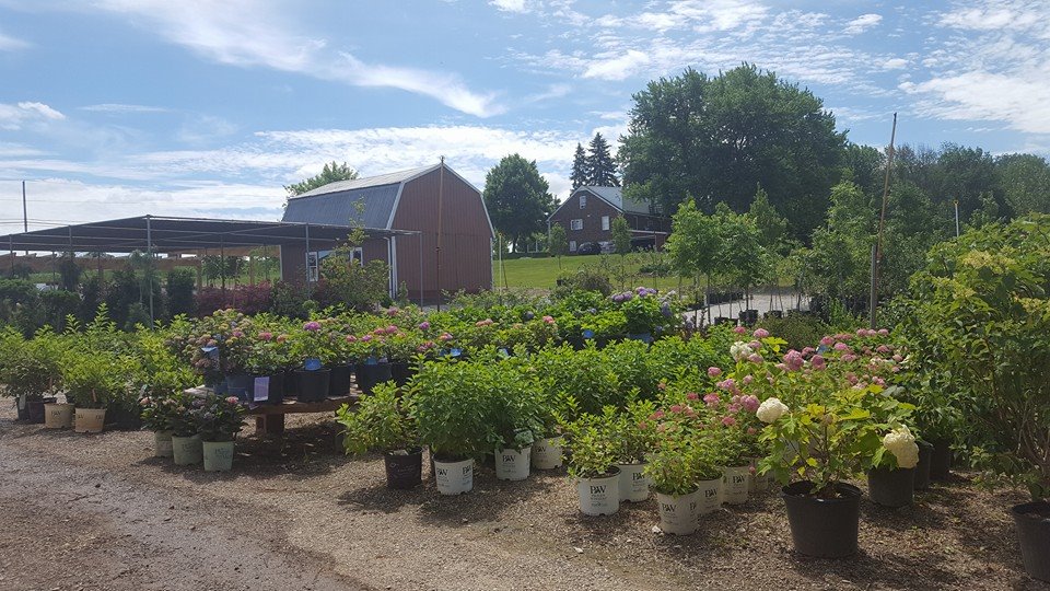 DeHoff Flowers, Greenhouse & Landscaping | 3517 Beechwood Ave, Alliance, OH 44601, USA | Phone: (330) 823-1455