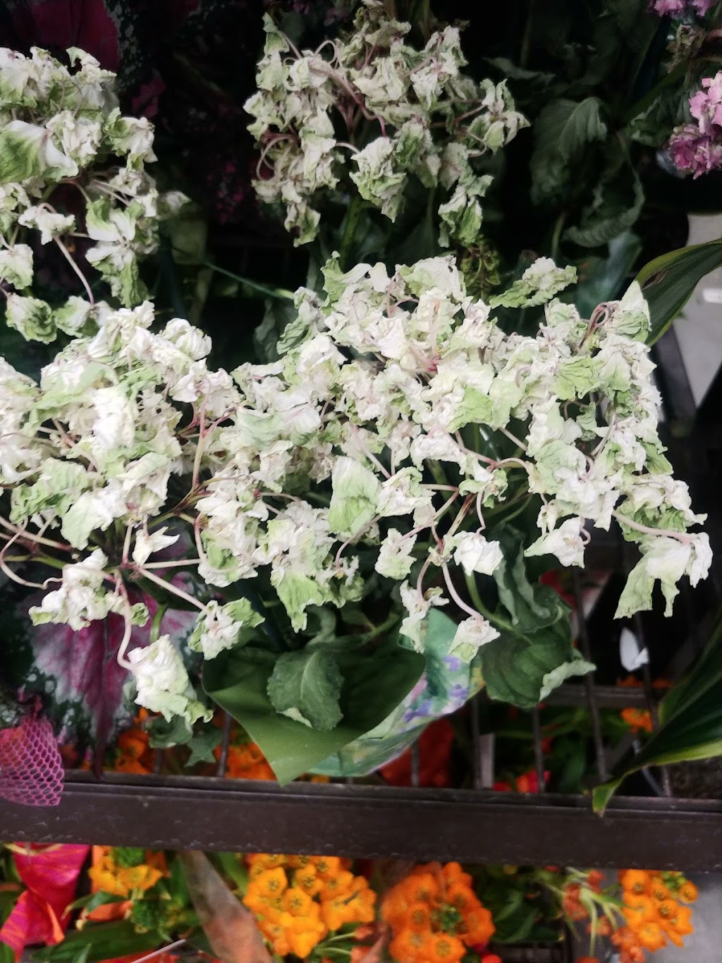 Lowes Garden Center | 1348 N Azusa Ave, Covina, CA 91722, USA | Phone: (626) 756-3000