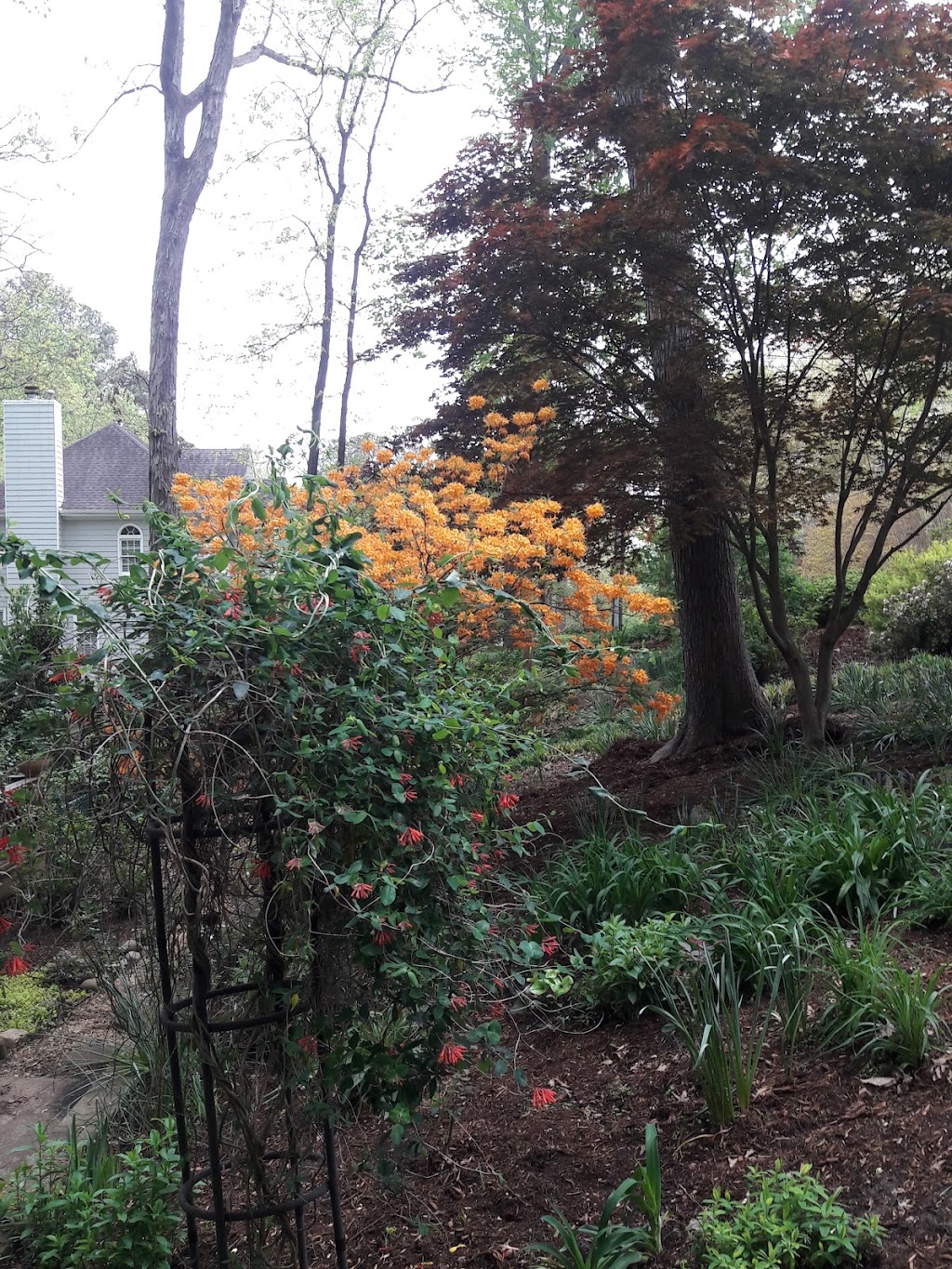 Falls River Town Center | 10940 Raven Ridge Rd, Raleigh, NC 27614, USA | Phone: (919) 301-8437