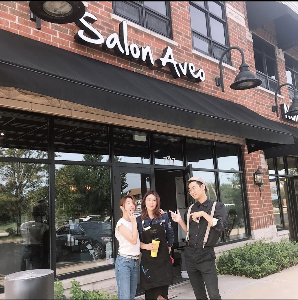 Salon Aveo | 737 E Dundee Rd, Arlington Heights, IL 60004, USA | Phone: (224) 347-2094