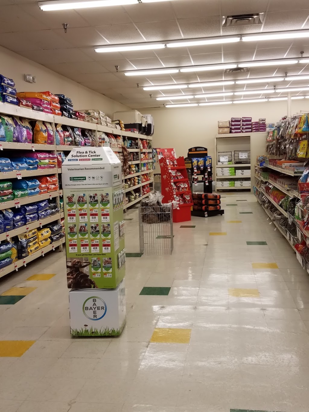 Pet Supplies Plus Albany | 1225 Western Ave Suite 6, Albany, NY 12203, USA | Phone: (518) 438-1040