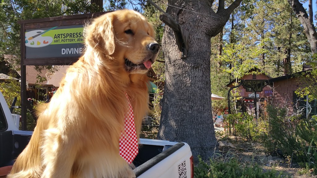 Idyllwild Area Historical Society | 54470 N Circle Dr, Idyllwild-Pine Cove, CA 92549, USA | Phone: (951) 659-2717