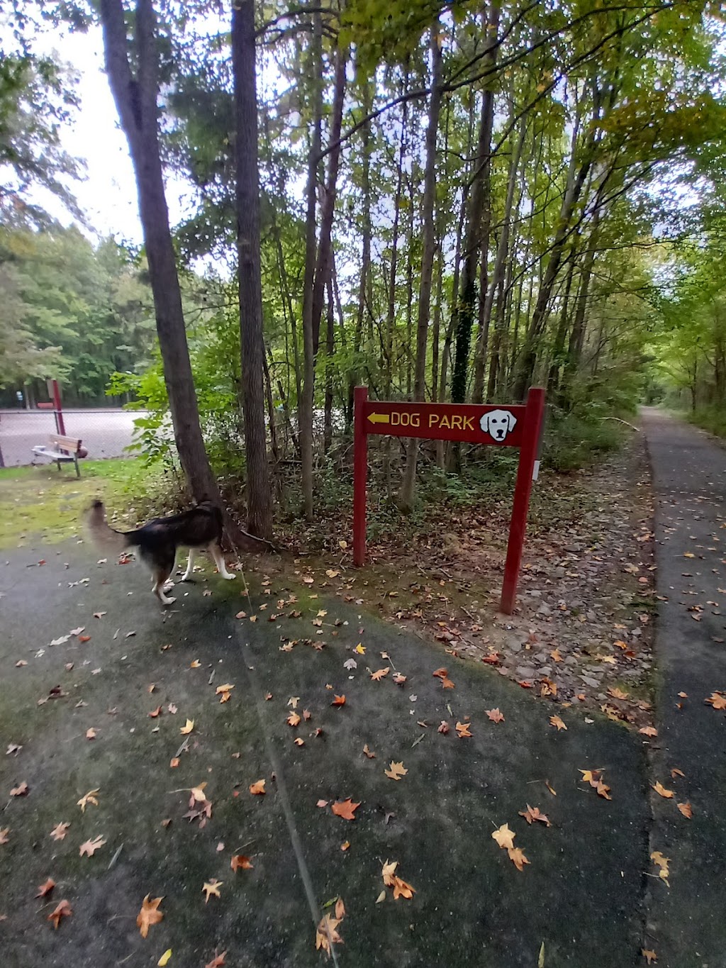 Grist Mill Dog Park | 4710 Mount Vernon Memorial Hwy, Alexandria, VA 22309 | Phone: (703) 324-7329