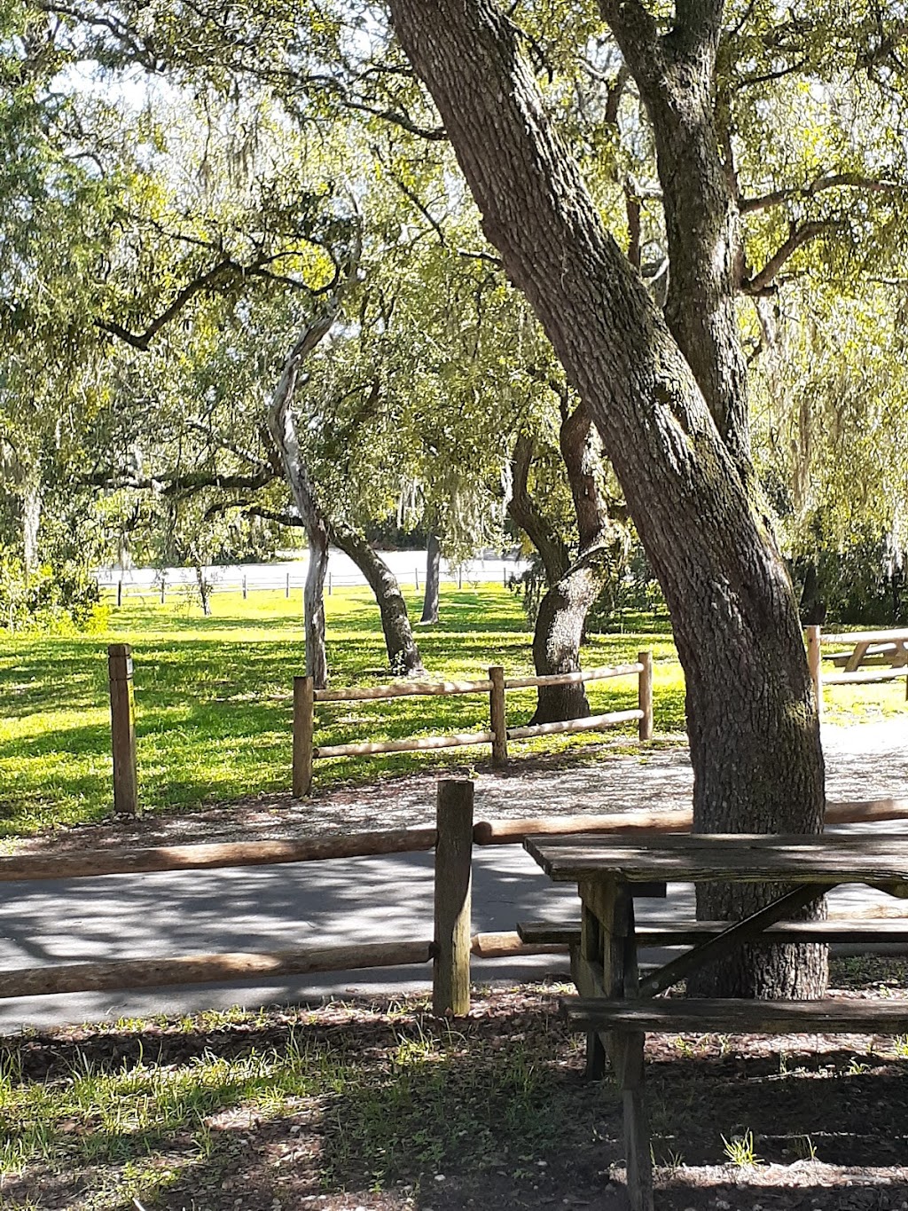 Cypress Glen Campground | 31475 Silver Lake Rd, Brooksville, FL 34602, USA | Phone: (352) 797-4140