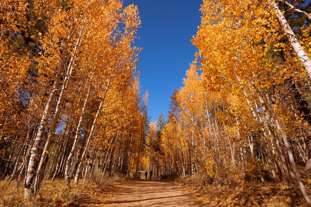 Spooner Lake - Lake Tahoe Nevada State Park | Carson City, NV 89703, USA | Phone: (775) 749-5980