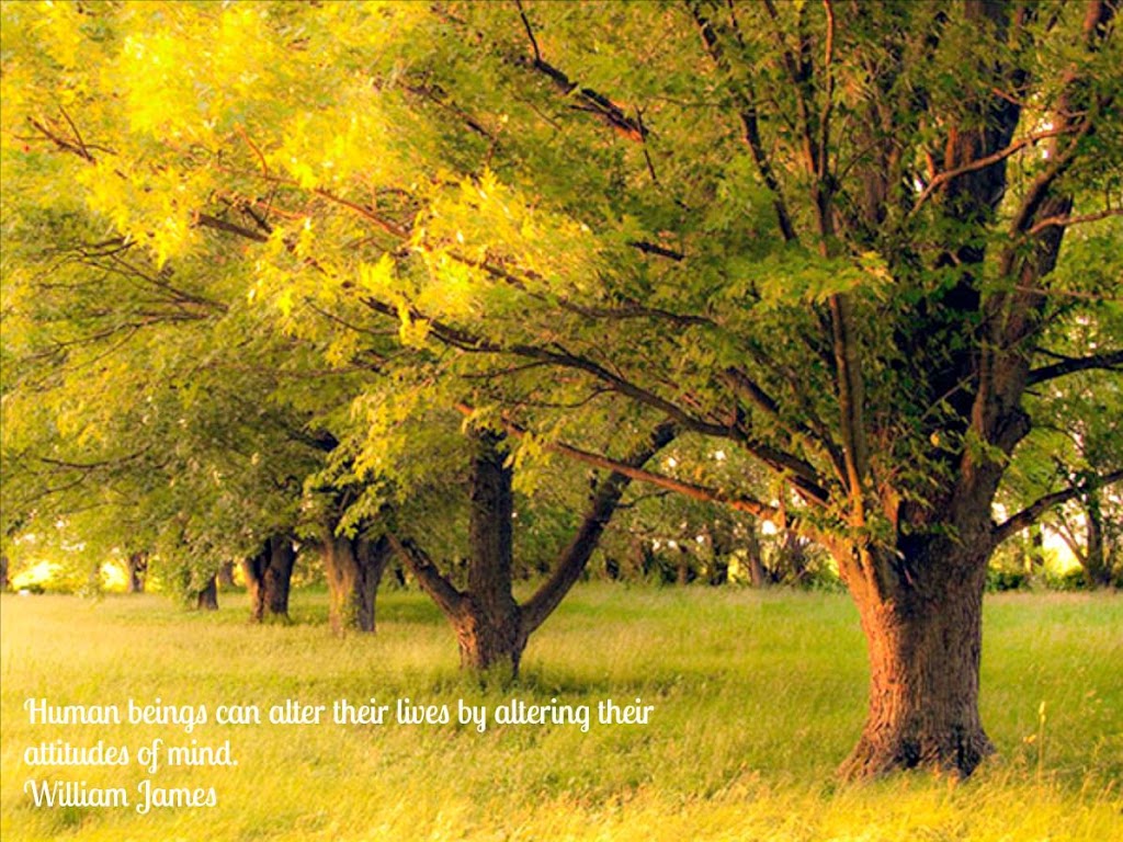 Mansfield Counseling | 751 U.S. 287 Frontage Rd #103, Mansfield, TX 76063, USA | Phone: (214) 952-2324