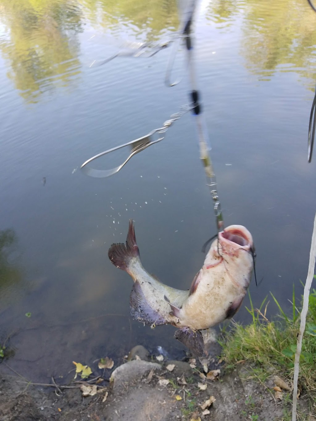 Sutter National Wildlife Refuge | 4529 Schlag Rd, Yuba City, CA 95993, USA | Phone: (530) 934-2801