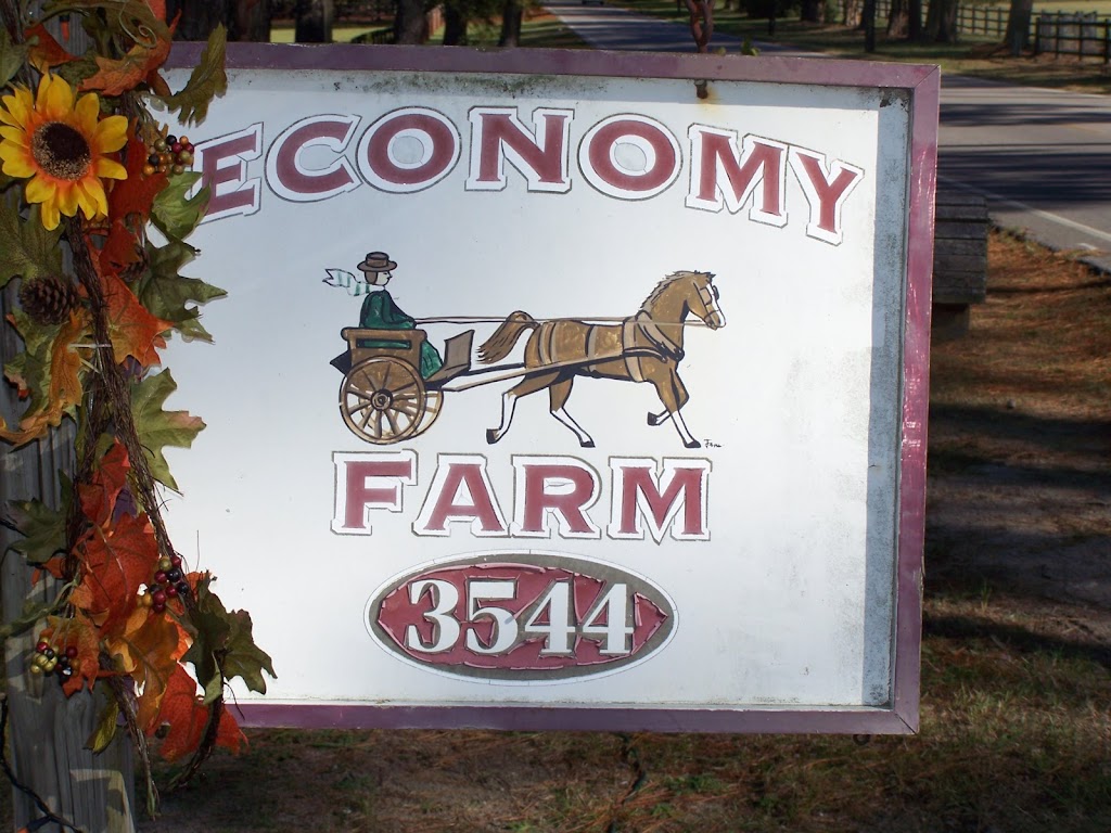 NC State Equine Health Center | 6045 US-1, Vass, NC 28394, USA | Phone: (910) 692-8773