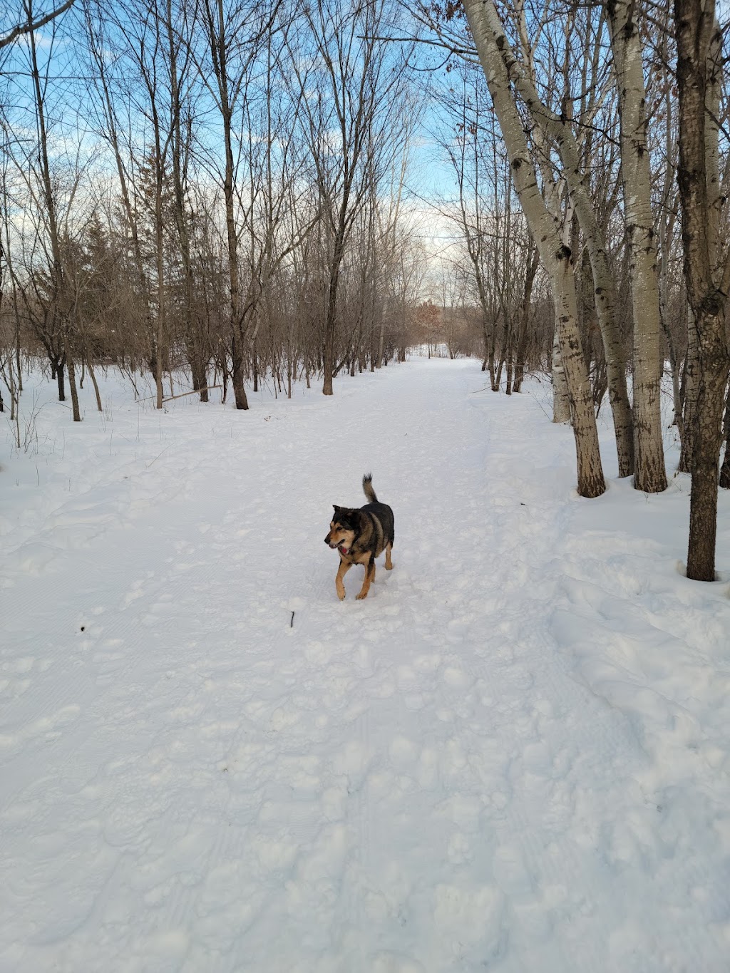 Cleary Lake Dog Park | 19011 Highview Ct, Prior Lake, MN 55372, USA | Phone: (763) 559-9000