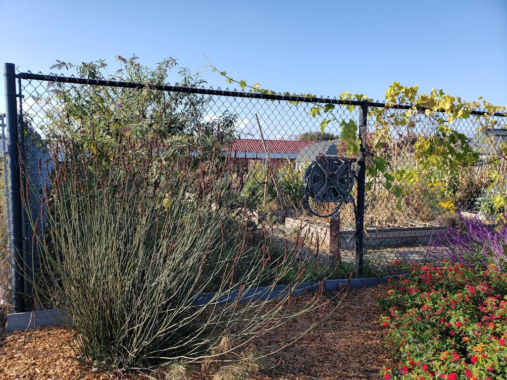 Canal Community Garden | 009 280-08, San Rafael, CA 94901, USA | Phone: (415) 485-3328