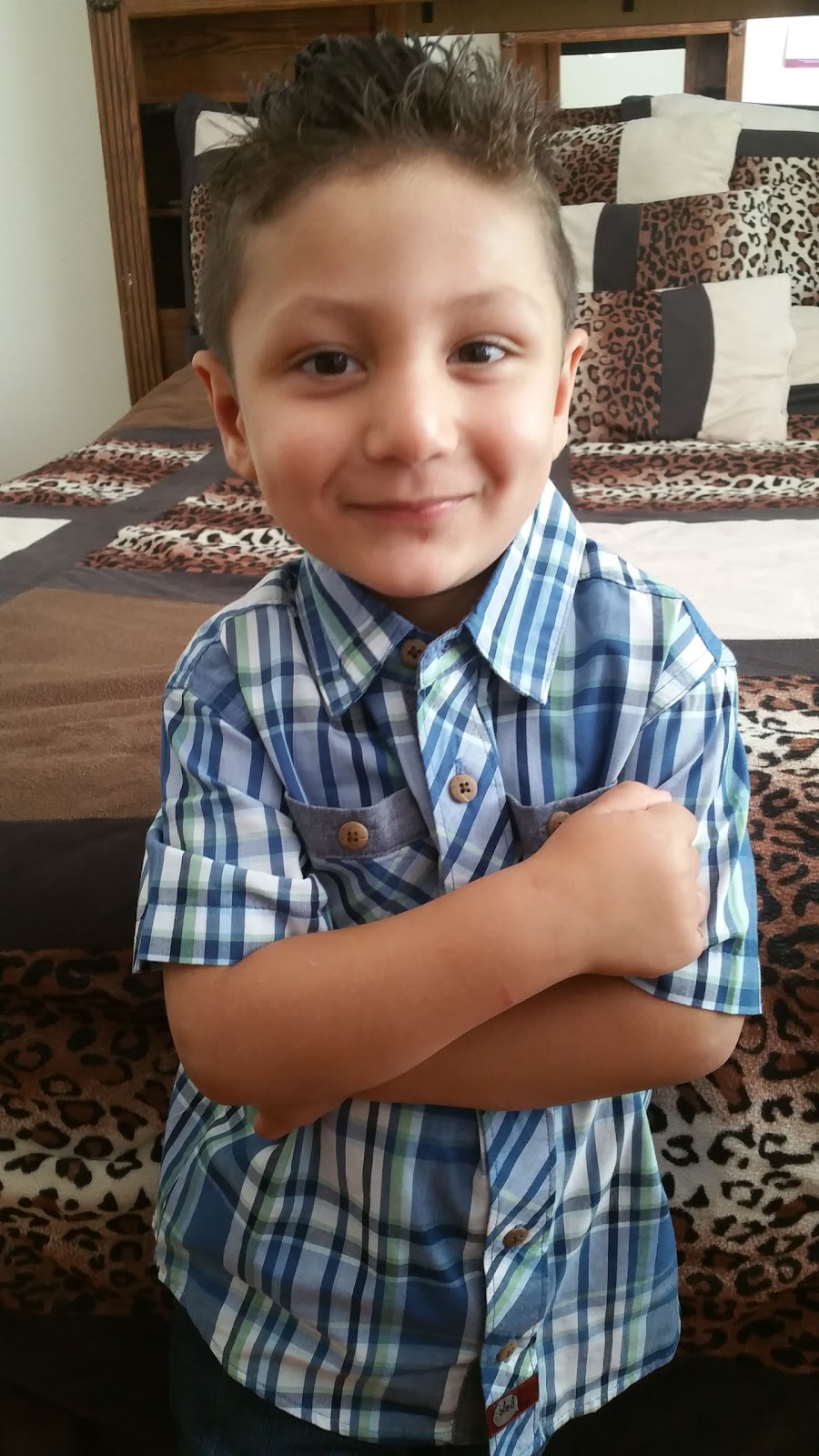 luis construction | 9640 Timberline Dr, Dallas, TX 75220, USA | Phone: (214) 763-1547