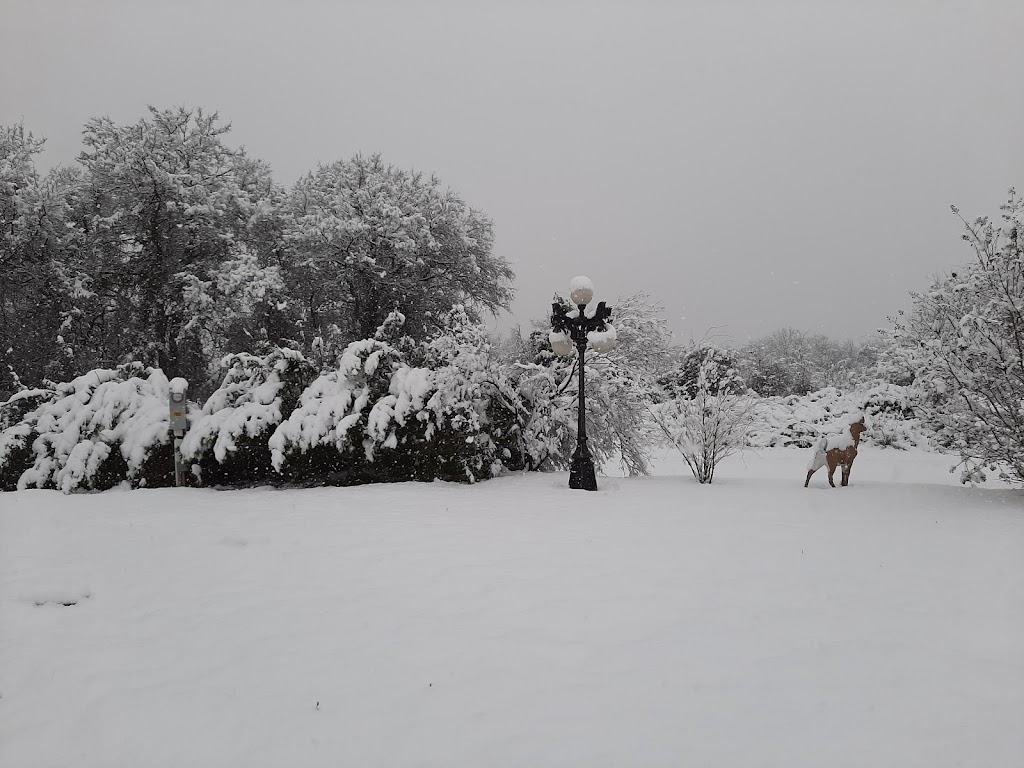 Lil Bit Country RV Park | 139 Hcr 2415 N, Hillsboro, TX 76645, USA | Phone: (254) 582-5688