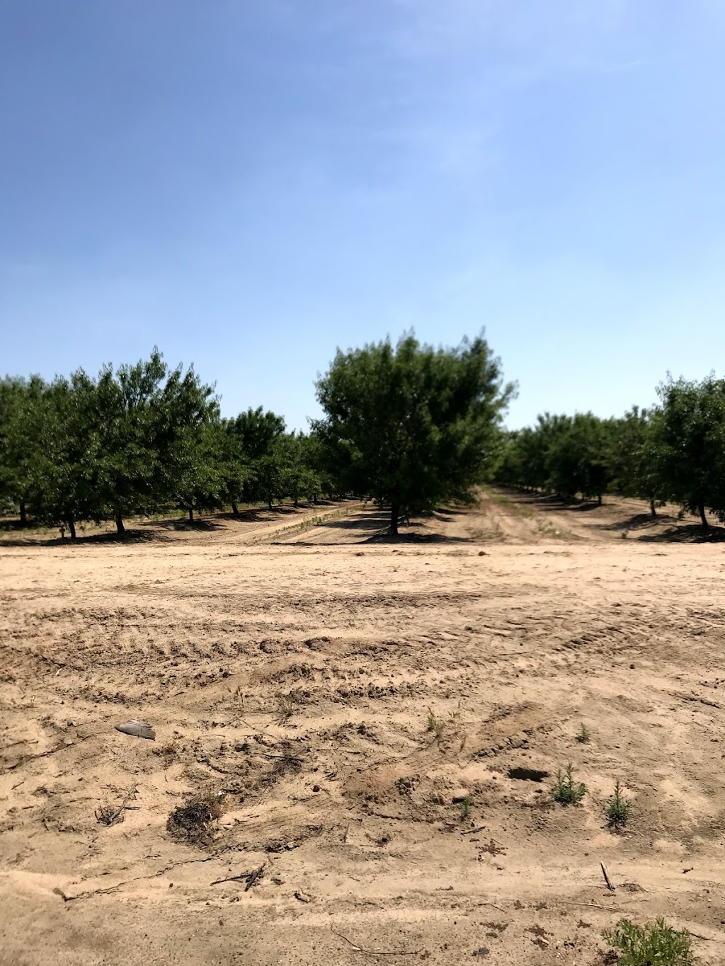 Kinabrew Farms | 7570 Rd 29 1/2, Madera, CA 93637, USA | Phone: (559) 664-8046