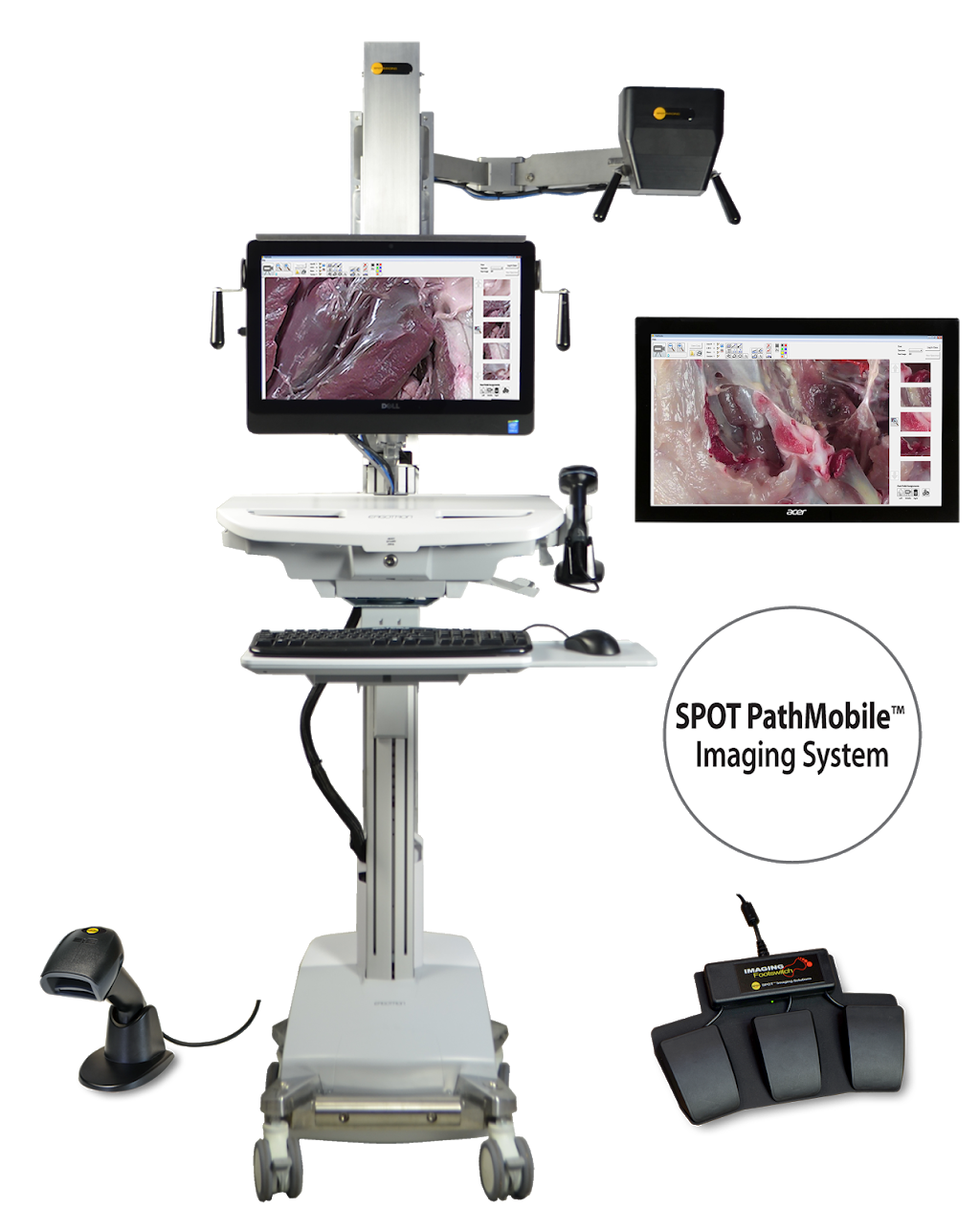 SPOT Imaging | Diagnostic Instruments | 6540 Burroughs Ave, Sterling Heights, MI 48314, USA | Phone: (586) 731-6000