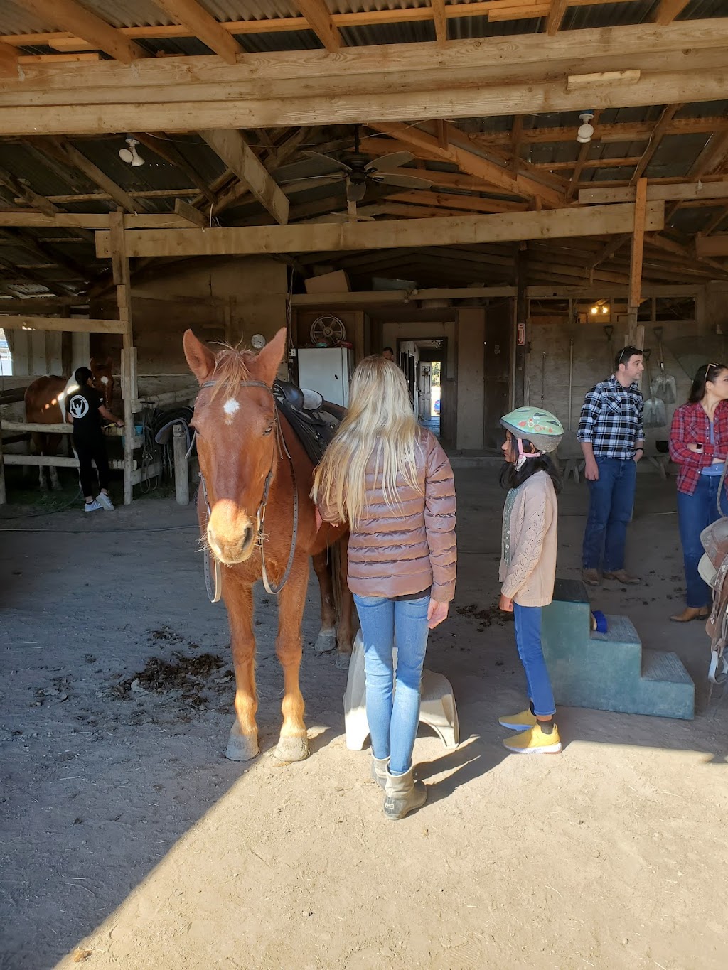 Heritage Hill Equestrian Center | 8882 Co Rd 392, Princeton, TX 75407, USA | Phone: (972) 734-9800