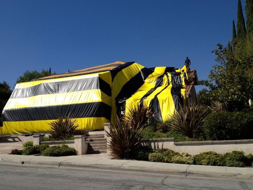 Aguirre Fumigation | 927 E Pine St, Santa Ana, CA 92701, USA | Phone: (714) 953-7616