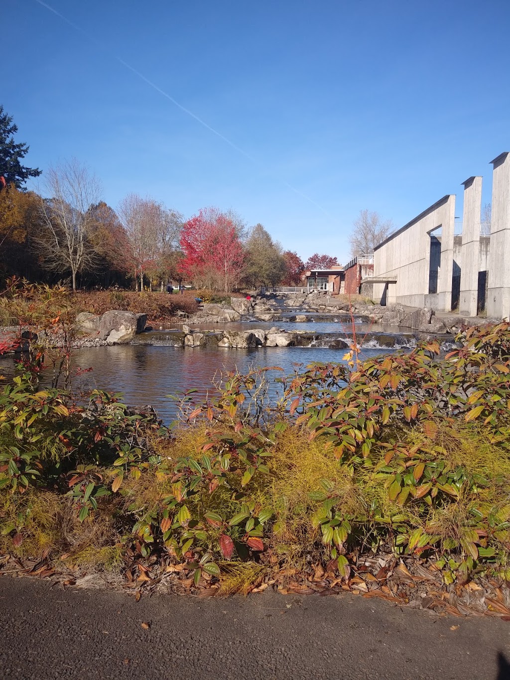 Willamette River Water Treatment Plant Park | 10350 Arrowhead Creek Ln, Wilsonville, OR 97070, USA | Phone: (503) 783-7529