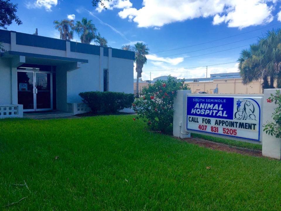 South Seminole Animal Hospital | 102 Oxford Rd, Fern Park, FL 32730, USA | Phone: (407) 831-5205