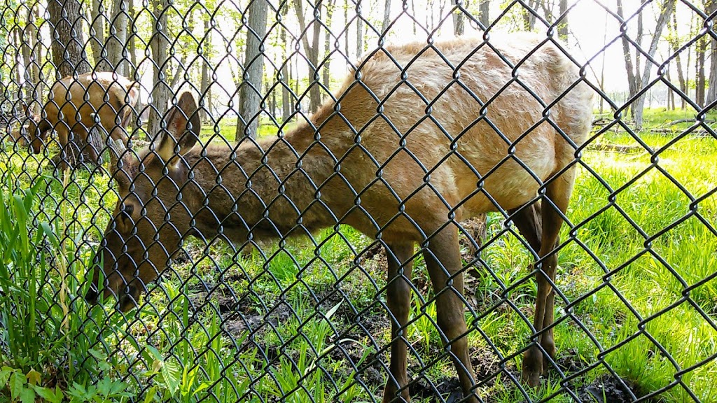 Busse Forest Elk Pasture | 225 N Arlington Heights Rd, Elk Grove Village, IL 60007 | Phone: (800) 870-3666