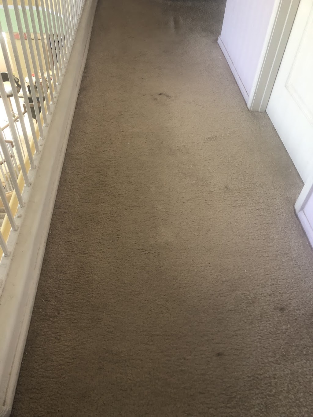 RU Clean LLC steam carpet cleaning | 20975 W Almeria Rd, Buckeye, AZ 85396, USA | Phone: (623) 275-0202